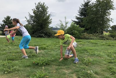 IMG_0335