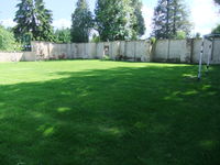 DSCF7987