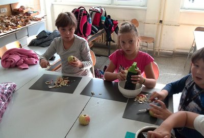 IMG_20171009_140318