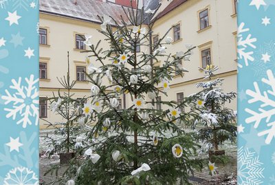 5.A