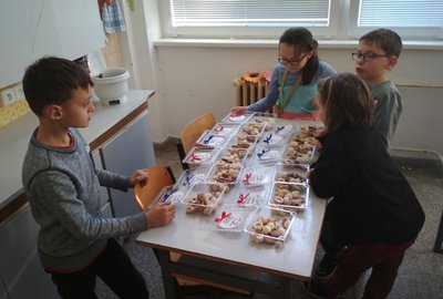 IMG_20171218_131810