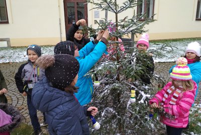 IMG_20171130_124714