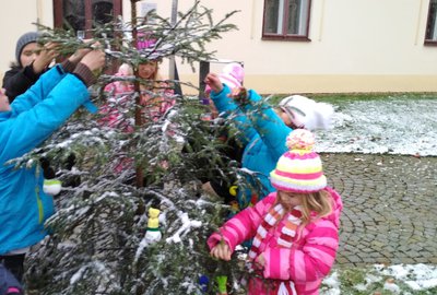 IMG_20171130_124717