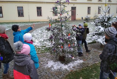 IMG_20171130_125538
