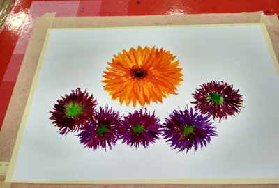 IMG_20180120_142926_HDR