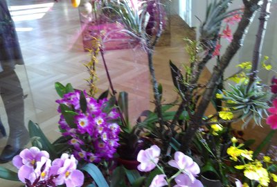IMG_20180224_095019