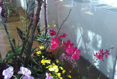 IMG_20180224_095022