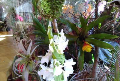 IMG_20180224_095326