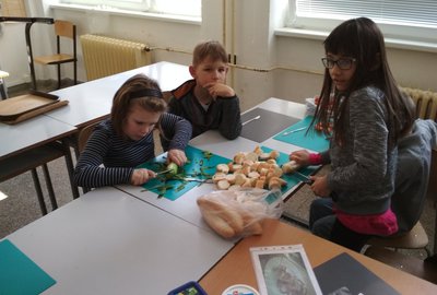 IMG_20180219_124340