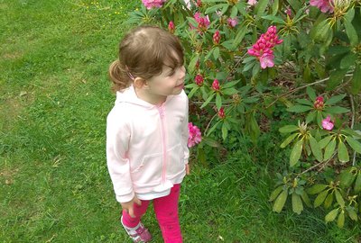 IMG_20180510_113333