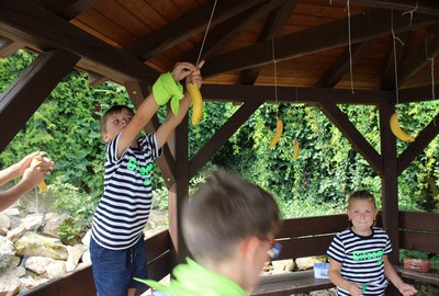 IMG_9550 (Kopírovat)