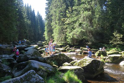 IMG_3550_prvni zastaveni