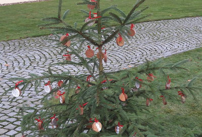 20181204_120705
