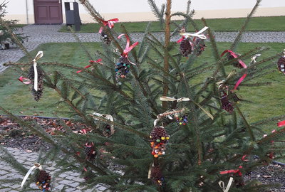 20181204_120908