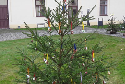 20181204_121239