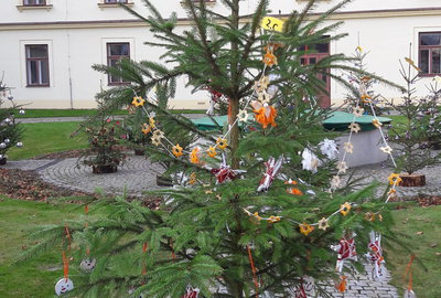 20181204_121259