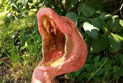 IMG_20180618_134244_HDR