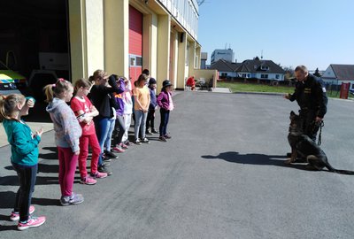 IMG_20190416_142356