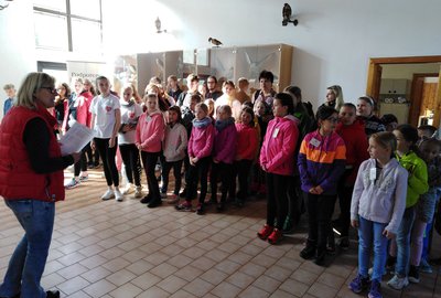 IMG_20190507_082736