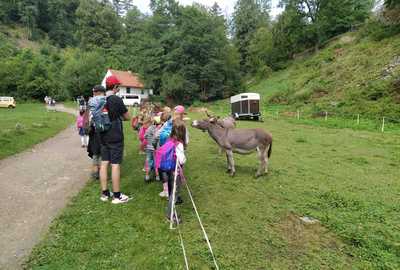 Příměstský tábor POD VĚŽÍ