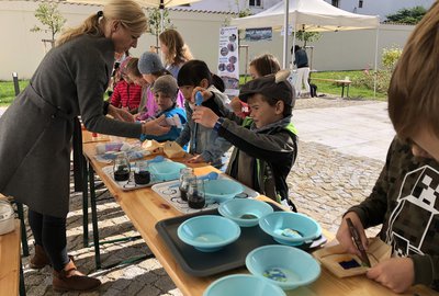 IMG_8259