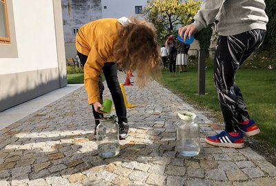 IMG_8264