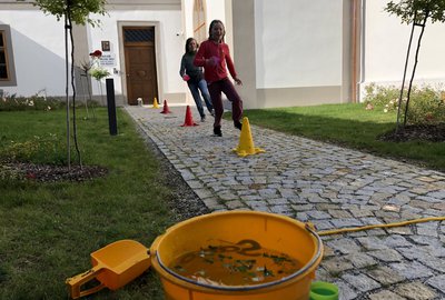 IMG_8269
