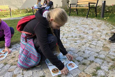 IMG_8296