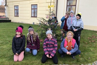 IMG_9001 (kopie)