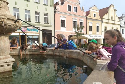 IMG_20220825_102702