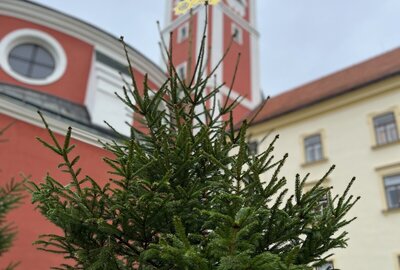 IMG_4585 2