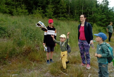 SíťFest 2024