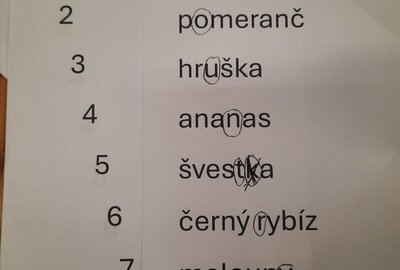 20240819_094555