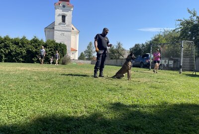 IMG_8556