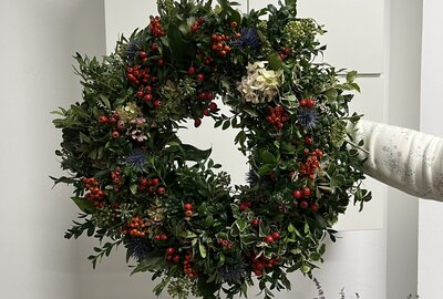 IMG_6134