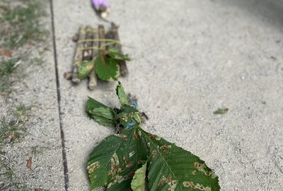 IMG_0070