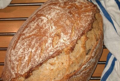 att.PHB9F12kIw27hi7lFQBgd9Ro7urDR6qGfpe6B21tSok