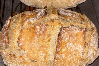 EB9610E6-4384-4F1F-9F63-14520F5E1E0C