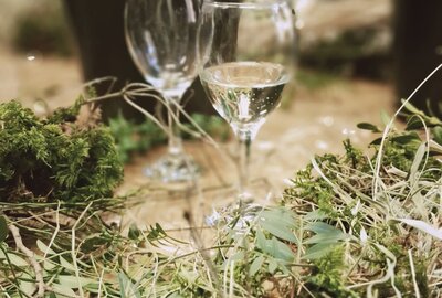 a6474639-685f-4ec2-9320-617ad4a1407b