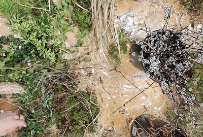 36e7e1f9-527b-471b-99a0-e1a71db62dfc