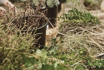 9fad5dcd-3c17-42e7-bea2-d7f39dafc6a9